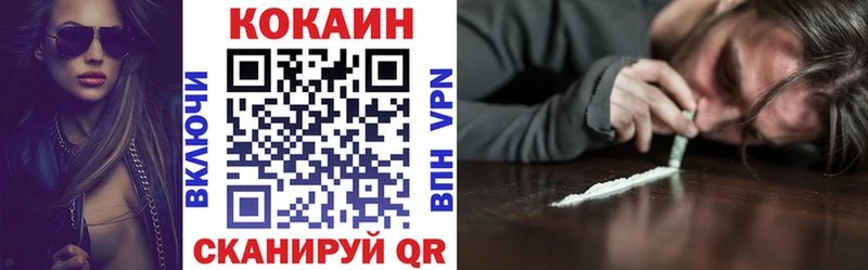 Купить  Омутнинск  COCAIN Fish Scale 