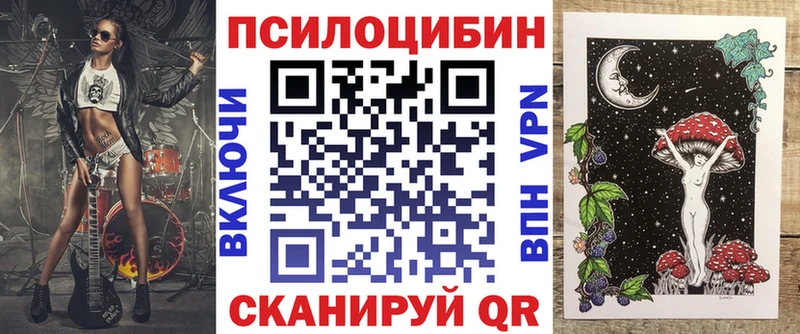 Купить  Омутнинск  Псилоцибиновые грибы Psilocybine cubensis 