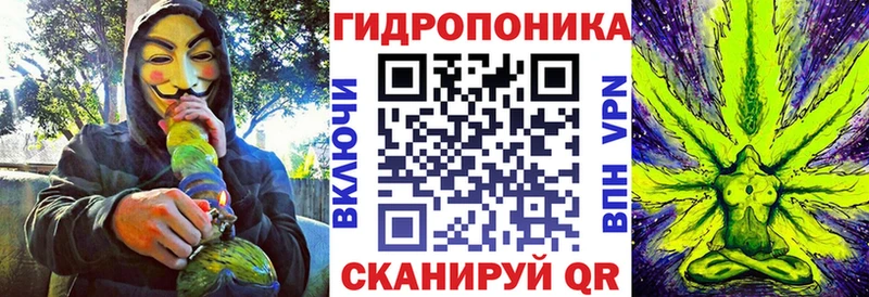 Каннабис план  Купить где  Омутнинск 